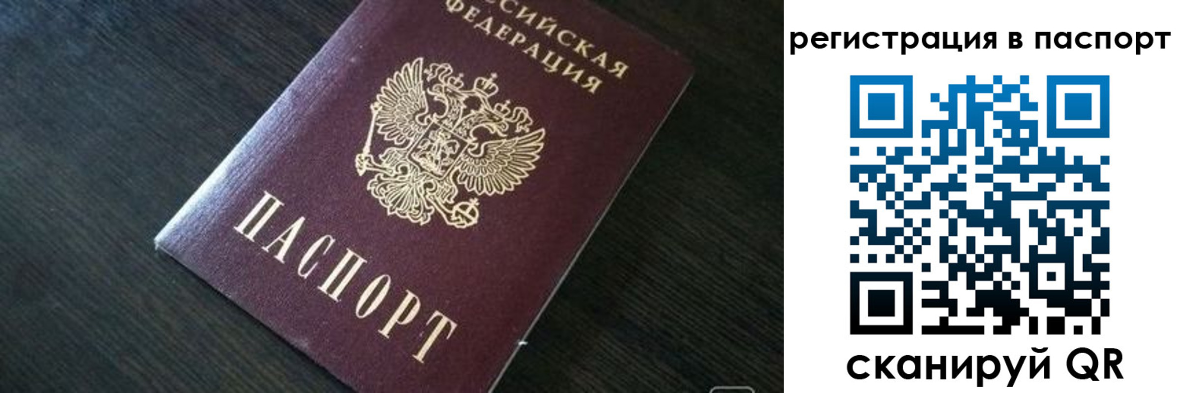 прописка в квартире в Бердске