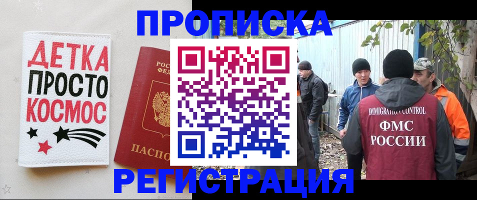 прописка поиск в Бердске